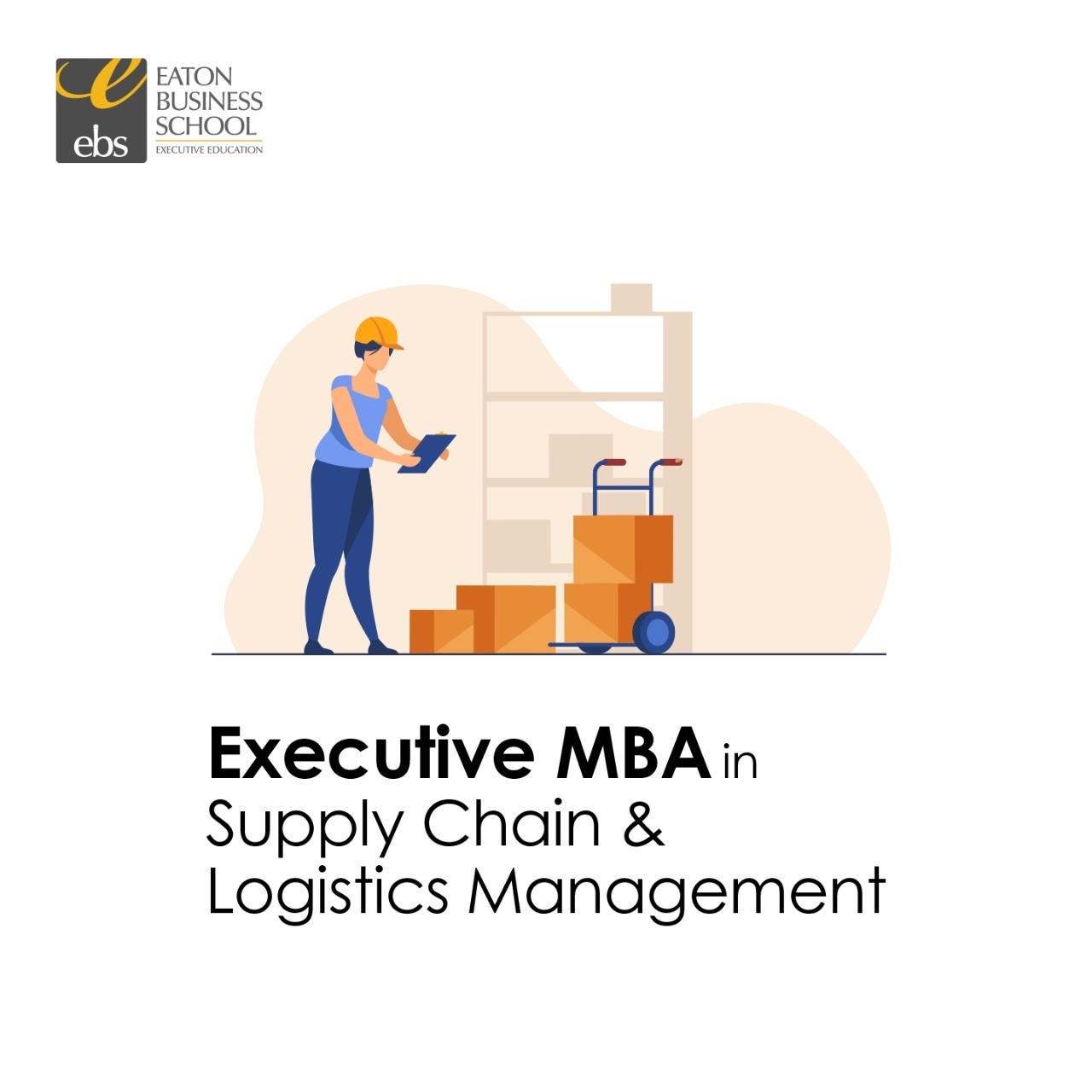 Supply chain and logistics MBA