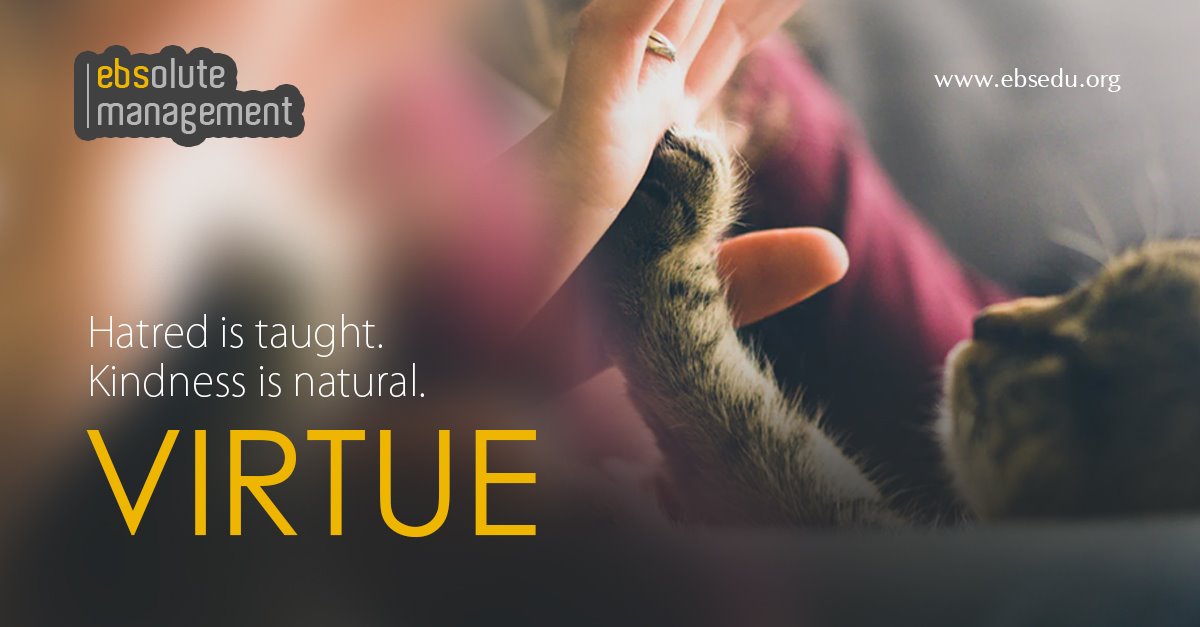 An image of a cat reaching up to a person with the words'virtue'.