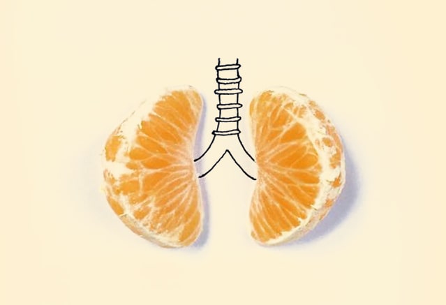 A drawing of lungs and an orange that represents the Extended Diploma in Global Business Management.