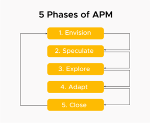 Phases of APM