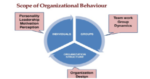 Scope Of Organizational Behavior